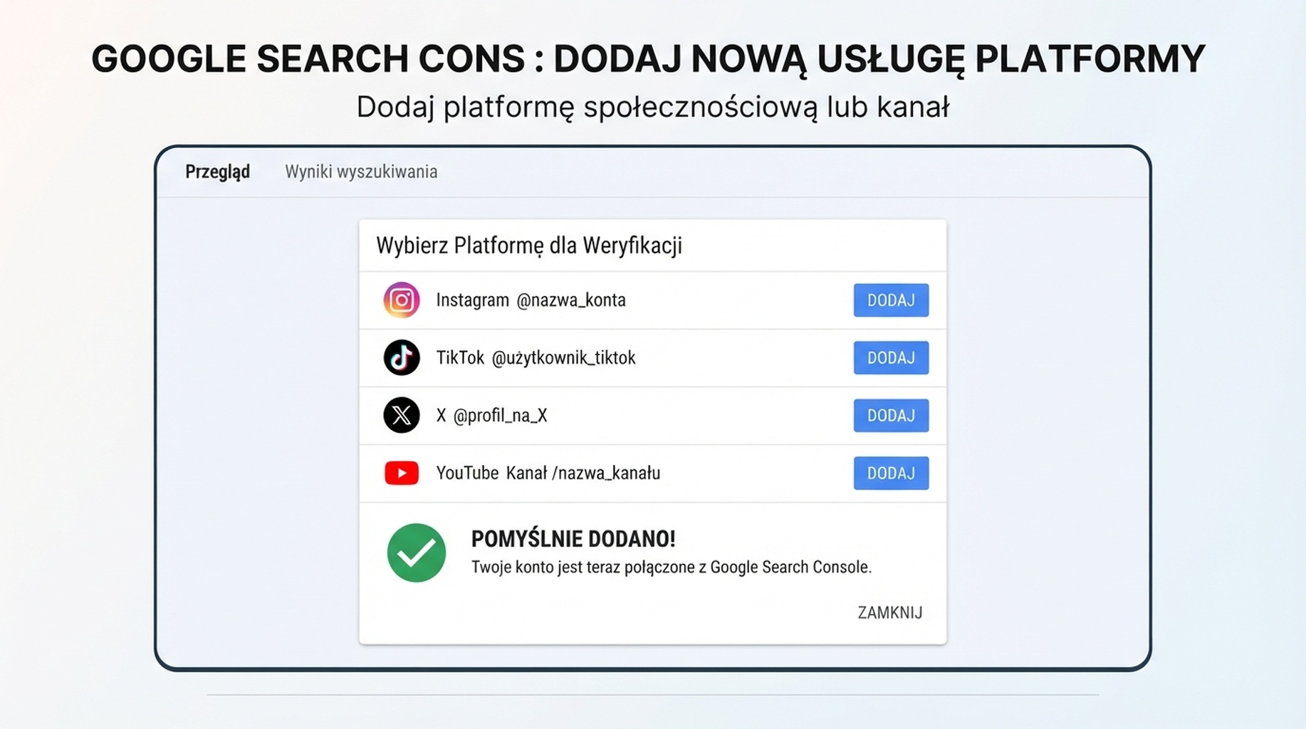 Płaski ekran konfiguracji usługi platformy Google Search Console z Instagram, TikTok, X i YouTube