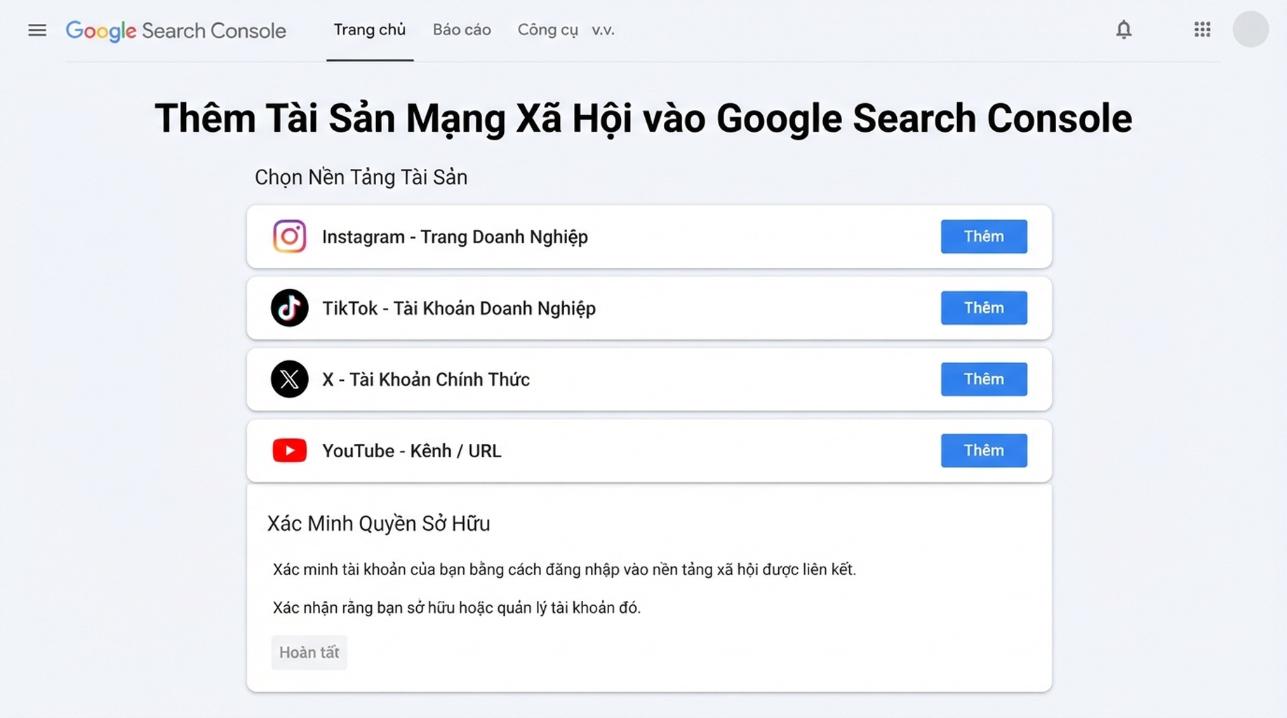 Màn hình thiết lập thuộc tính nền tảng phẳng của Google Search Console với Instagram, TikTok, X và YouTube