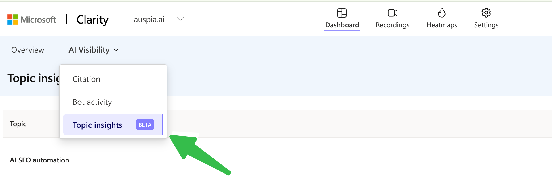 Topic Insights menu entry in the Microsoft Clarity AI Visibility navigation.