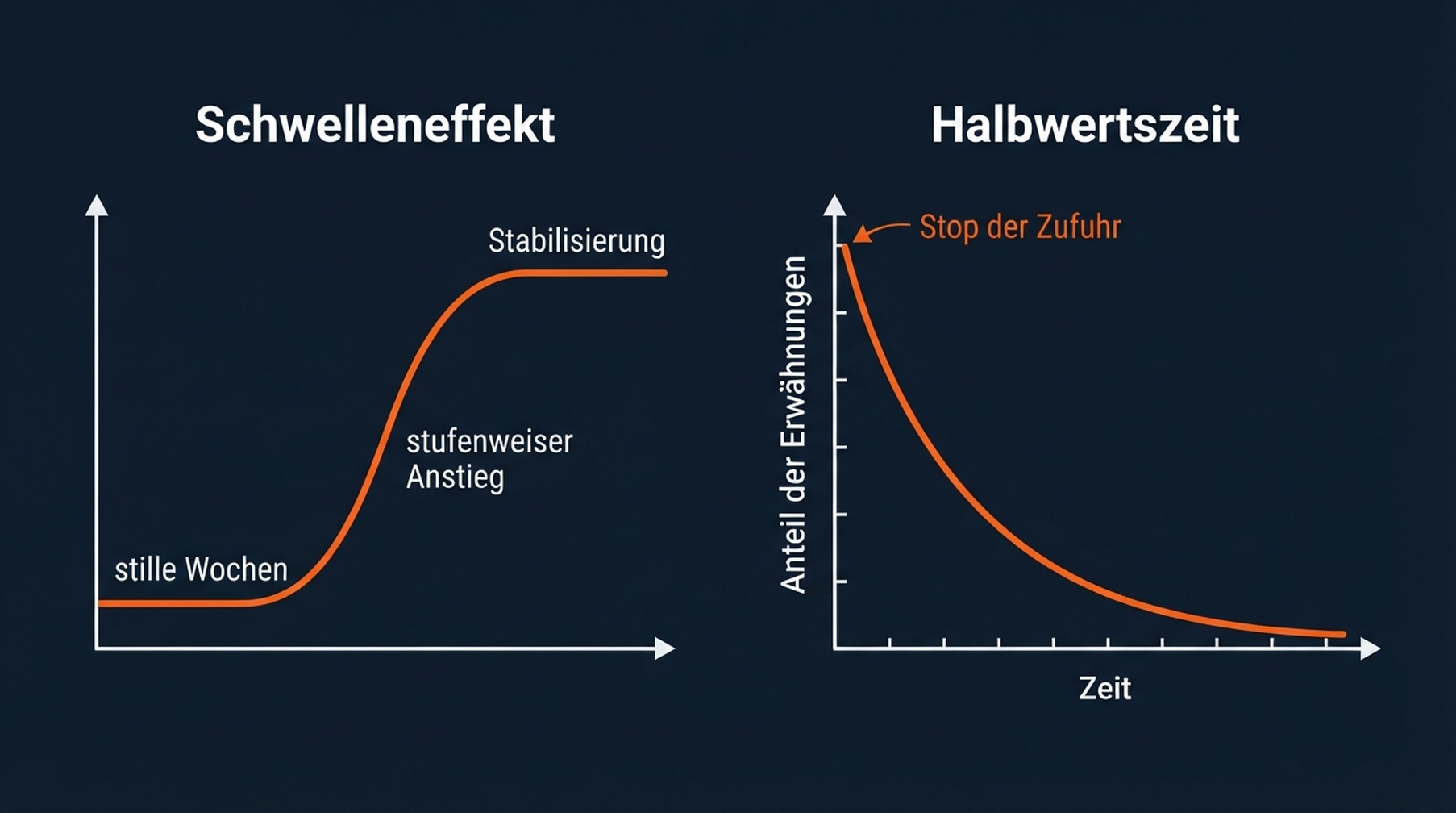GEO-Sichtbarkeit klettert durch die Phasen Null-Erscheinen, Wackeln und Durchbruch an einer S-Kurve entlang und zerfällt, wenn die Korpuszufuhr stoppt.