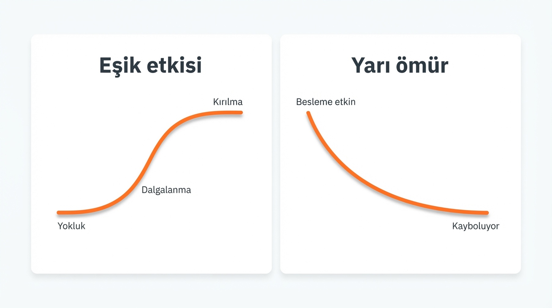 GEO görünürlüğü yokluk, dalgalanma ve kırılma evrelerinden geçerek bir S eğrisi boyunca yükselir, sonra korpus beslemesi durduğunda geriler.