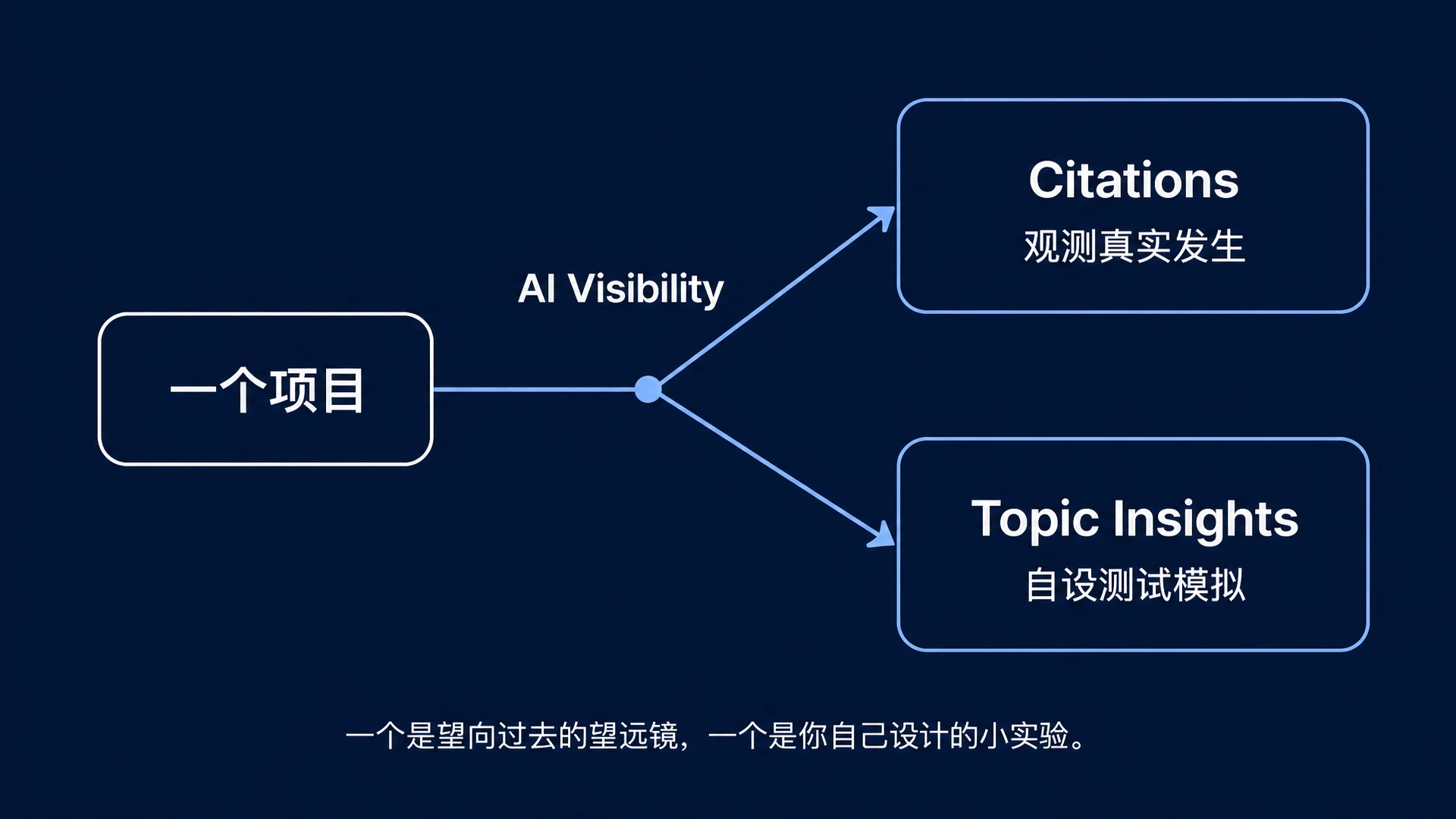 Citations vs Topic Insights: 一个是望向过去的望远镜，一个是你自己设计的小实验。