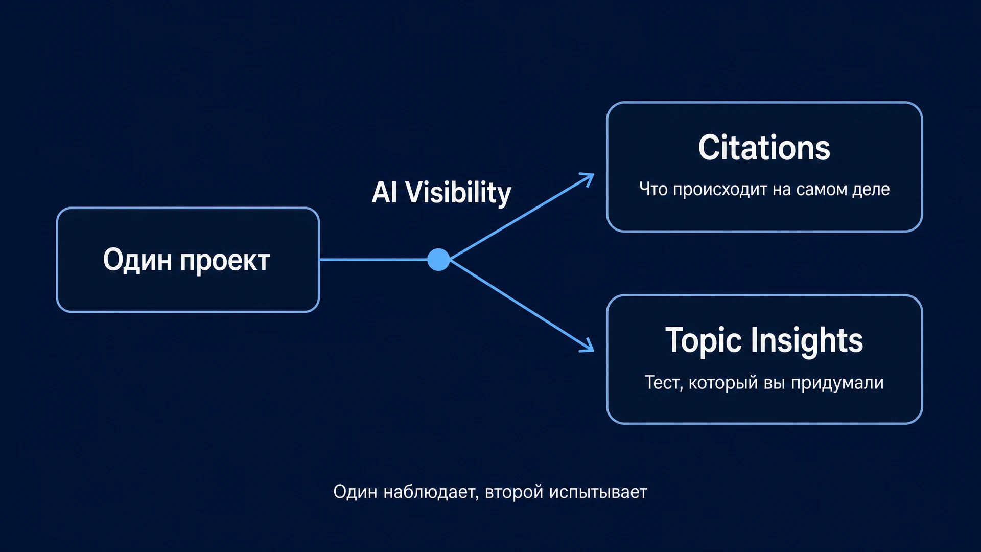 Citations vs Topic Insights: Один наблюдает, второй испытывает