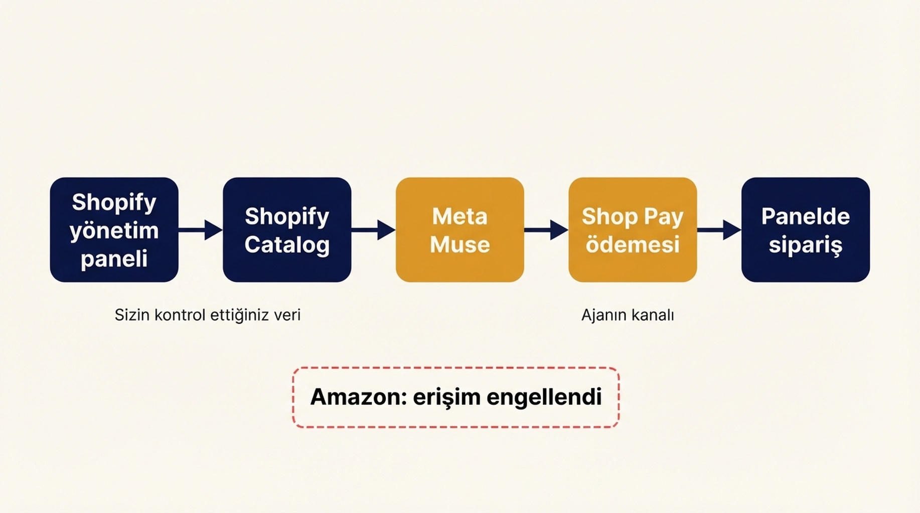 Shopify'dan Meta Muse'a ticaret akışı şeması: Shopify yönetim paneli Shopify Catalog'a veri gönderir, oradan Meta Muse'a, sonra Shop Pay ödemesine ve son olarak satıcı panelindeki siparişe akar; Amazon erişim engellendi olarak gösterilir
