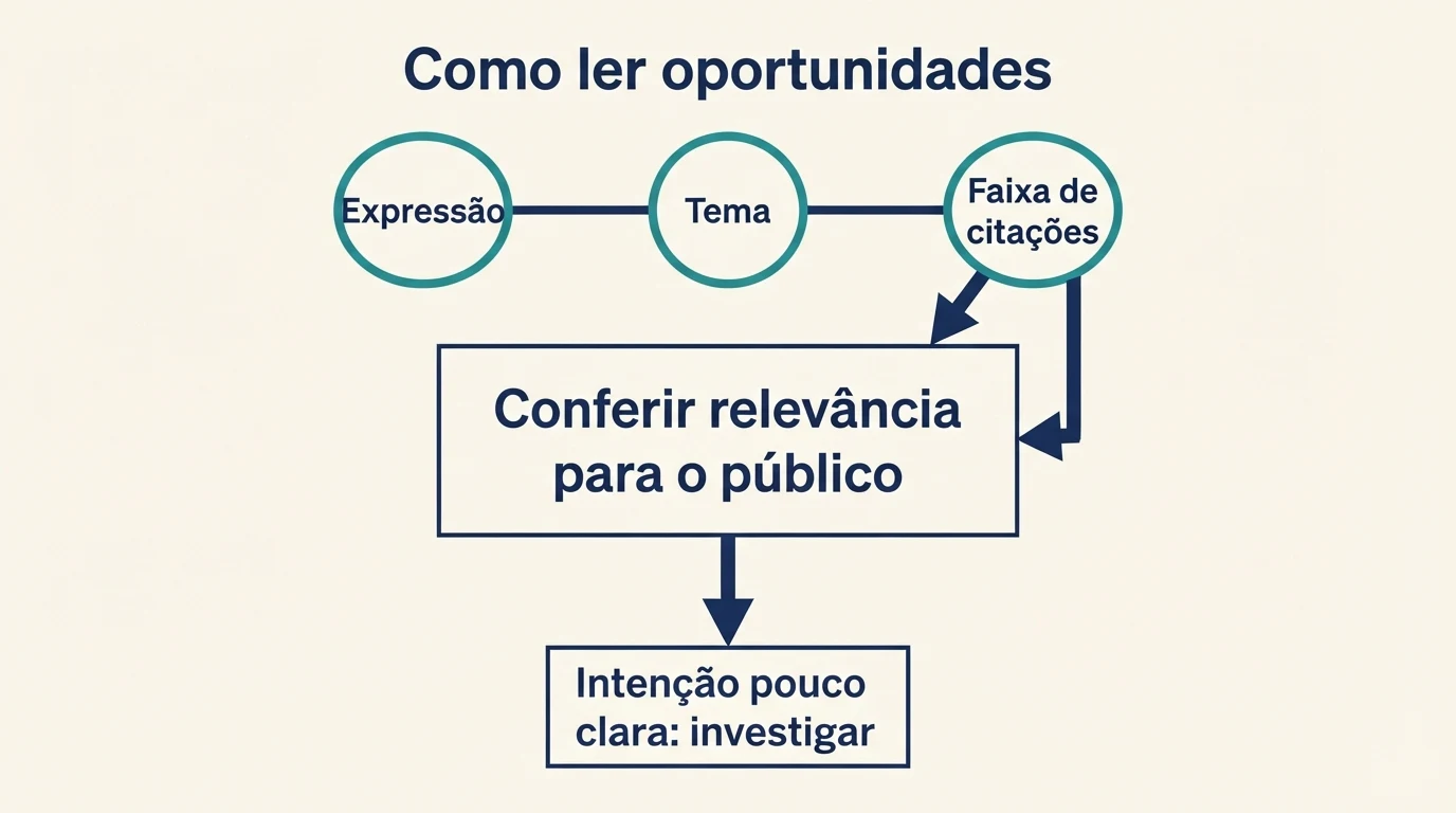 Esquema de leitura das oportunidades por expressão, tema relacionado e faixa de citações.